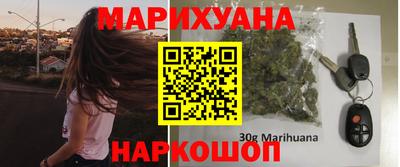 МДПВ Новозыбков