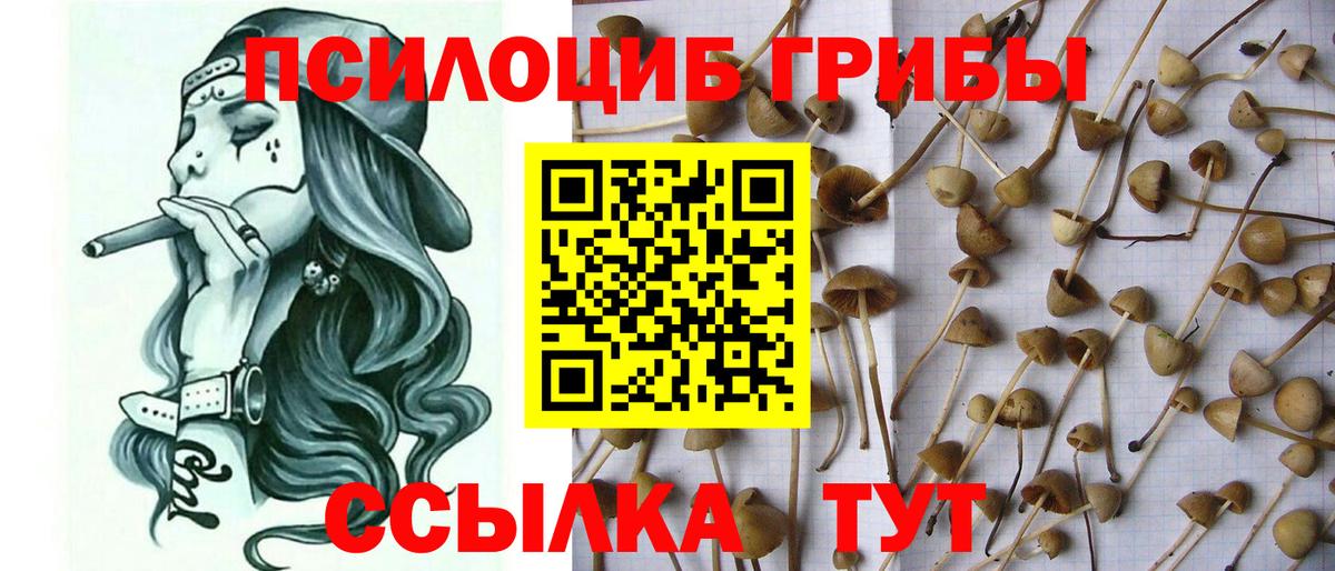 Барнаул  Галлюциногенные грибы мицелий  наркошоп  Псилоцибиновые грибы Psilocybine cubensis  Вход с VPN 